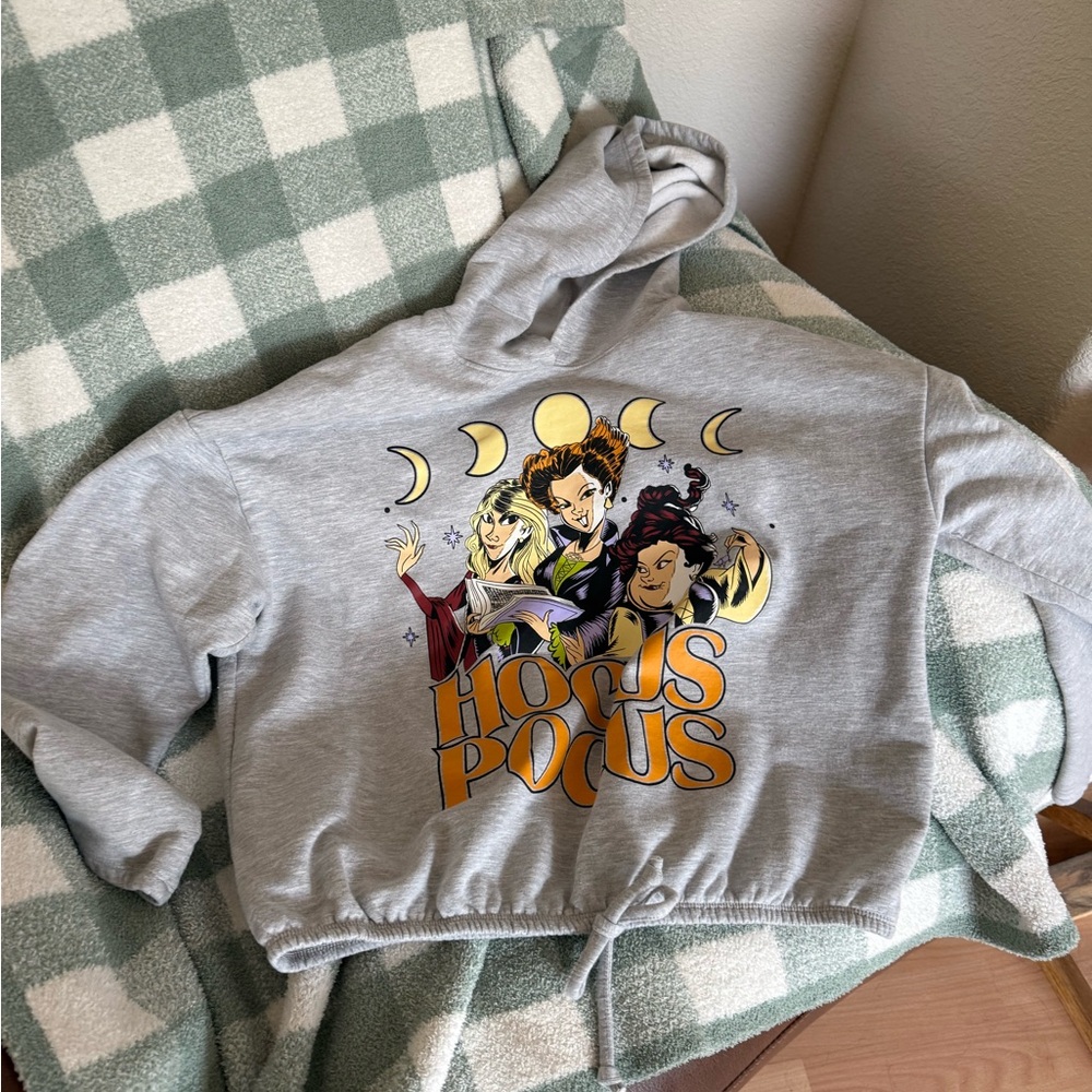 Disney Hocus Pocus Gray Hoodie